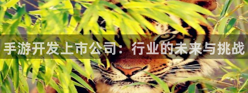 买三牛：手游开发上市公司：行业的未来与挑战