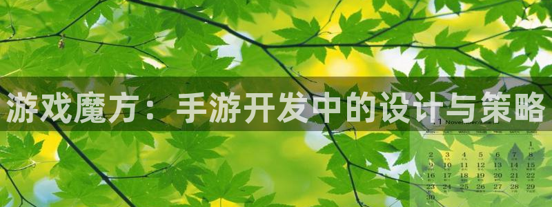 三牛娱乐负责人：游戏魔方：手游开发中的设计与策略