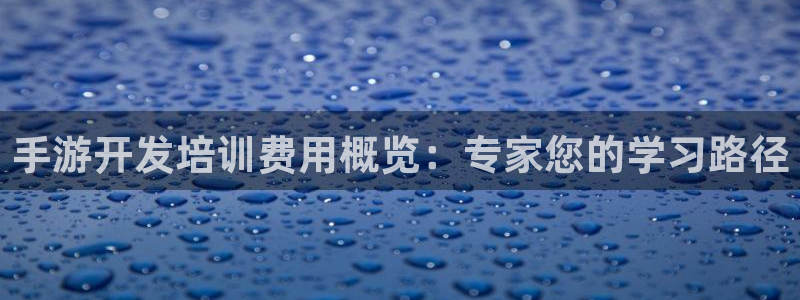 三牛娱乐测速系统怎么样：手游开发培训费用概览：专家您的学习路