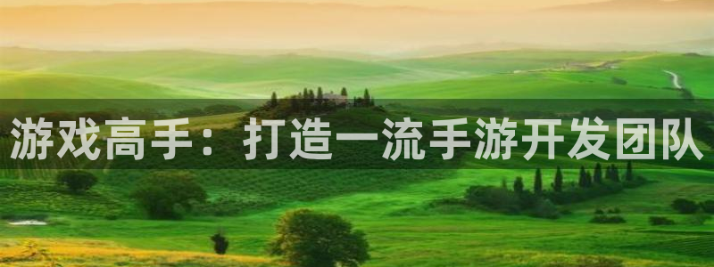 三牛娱乐测速系统怎么样：游戏高手：打造一流手游开发团队