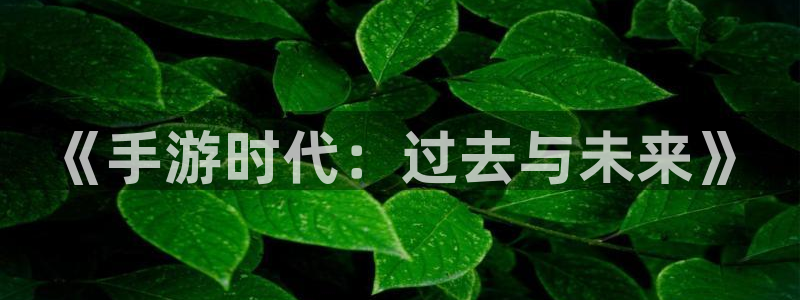 三牛娱乐官网登录入口下载：《手游时代：过去与未来》