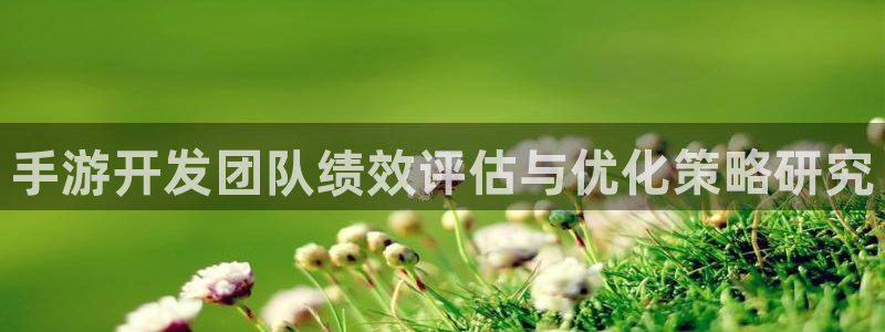 三牛娱乐登录：手游开发团队绩效评估与优化策略研究